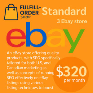 Standard 3 eBay Store
